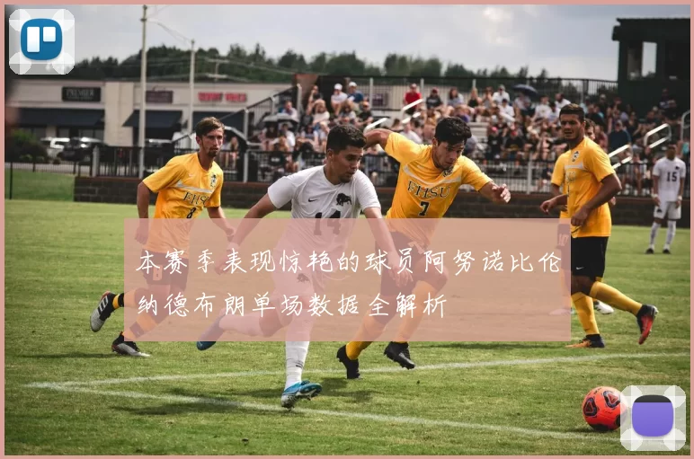 本赛季表现惊艳的球员阿努诺比伦纳德布朗单场数据全解析